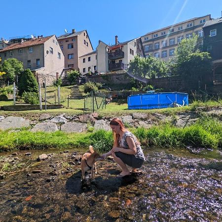 Urlaubstraum Mit Pool, Terrasse & Fluss Im Garten - Ut Apartamento Sebnitz Exterior foto
