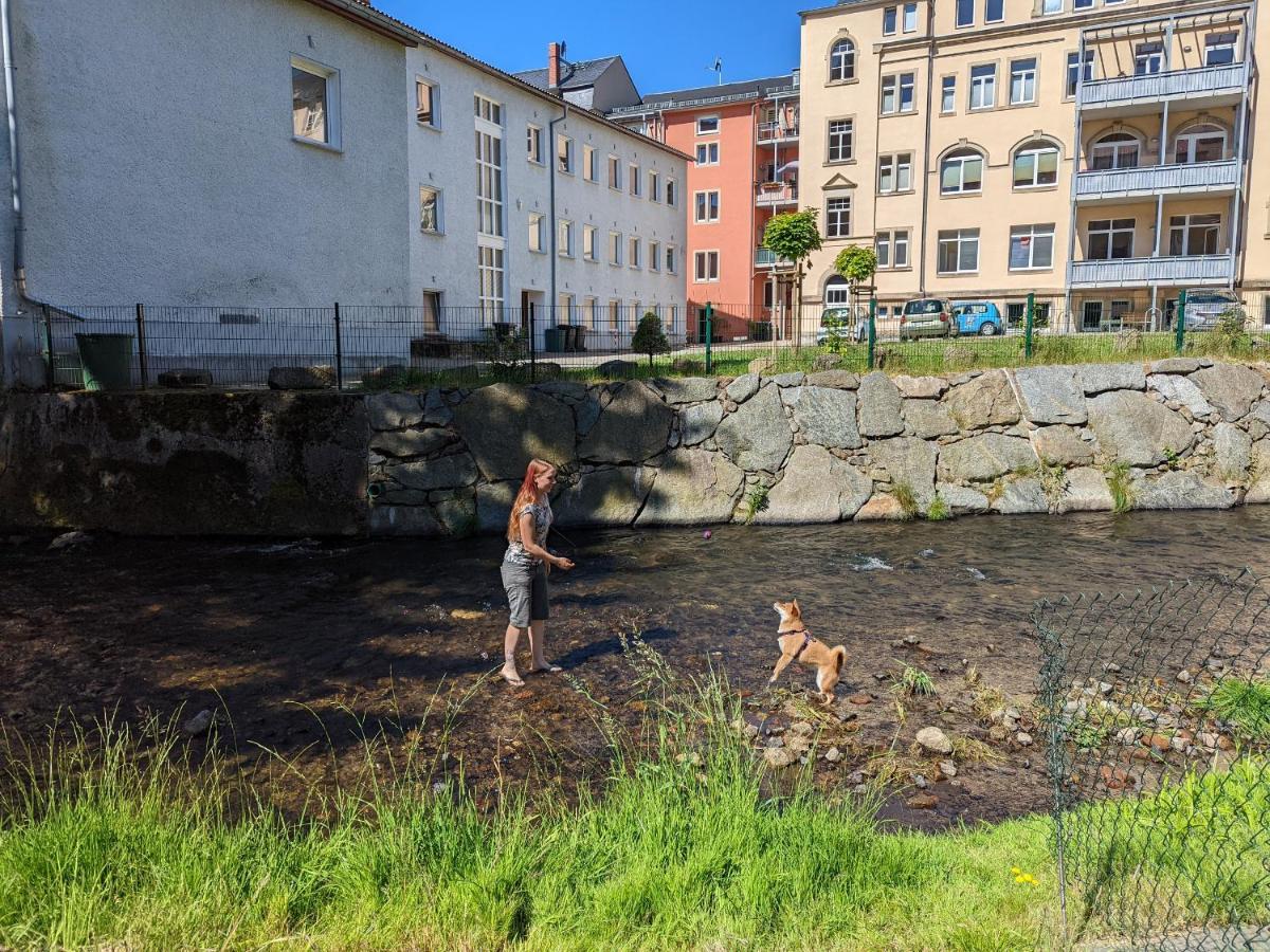 Urlaubstraum Mit Pool, Terrasse & Fluss Im Garten - Ut Apartamento Sebnitz Exterior foto