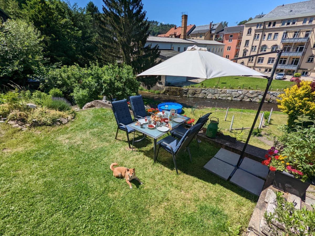 Urlaubstraum Mit Pool, Terrasse & Fluss Im Garten - Ut Apartamento Sebnitz Exterior foto